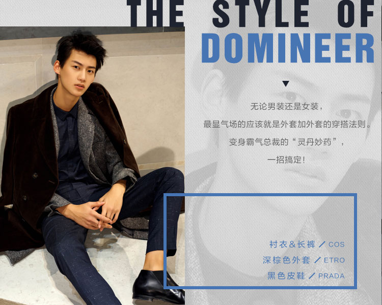 THE STYLE OF DOMINEER