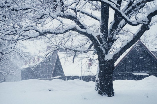 北海道度蜜月 冰雪巡礼北海道在雪地中见证爱 幸福途中系列专题 太平洋女性网